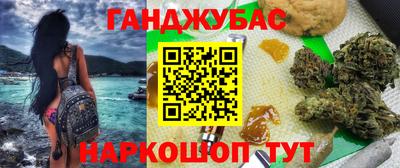 прущие крисы Нальчик