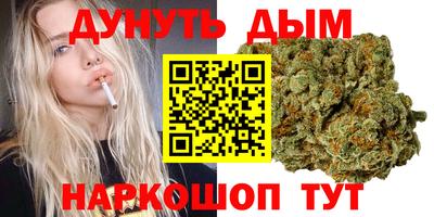 прущие крисы Нальчик
