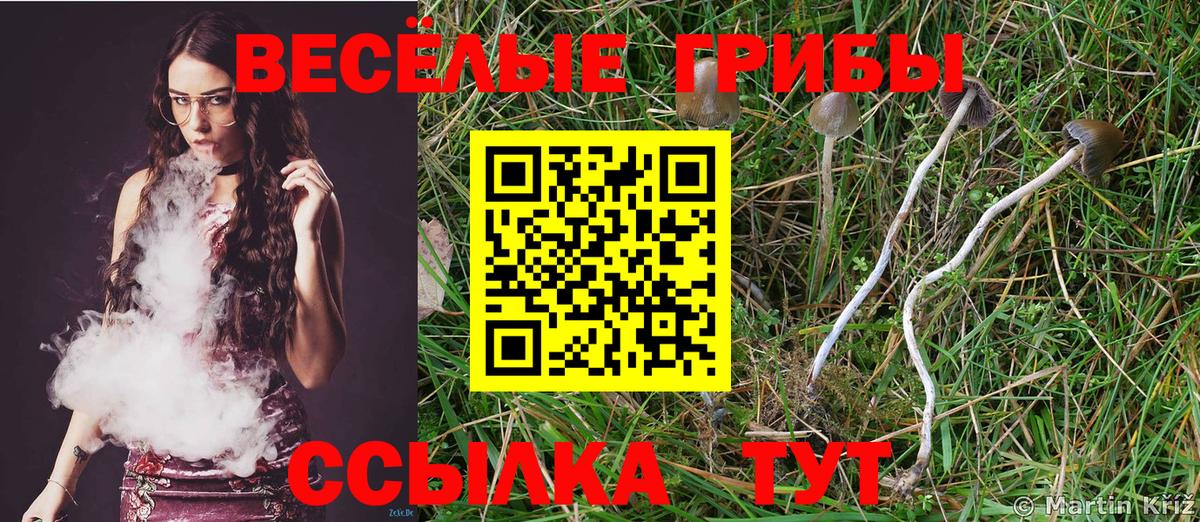 Псилоцибиновые грибы MAGIC MUSHROOMS Вольск
