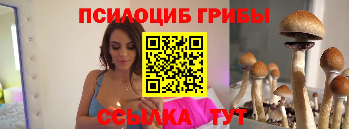 Вольск  где продают   Галлюциногенные грибы Magic Shrooms  Вход с VPN  Псилоцибиновые грибы GOLDEN TEACHER 